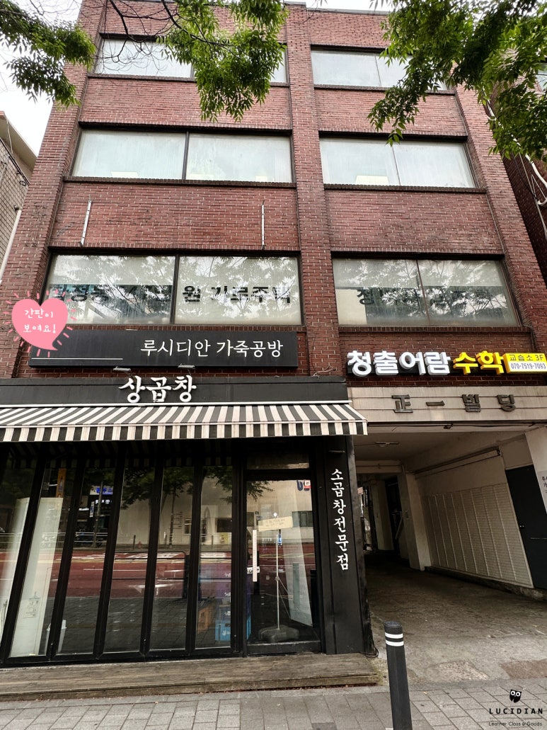 루시디안 이미지