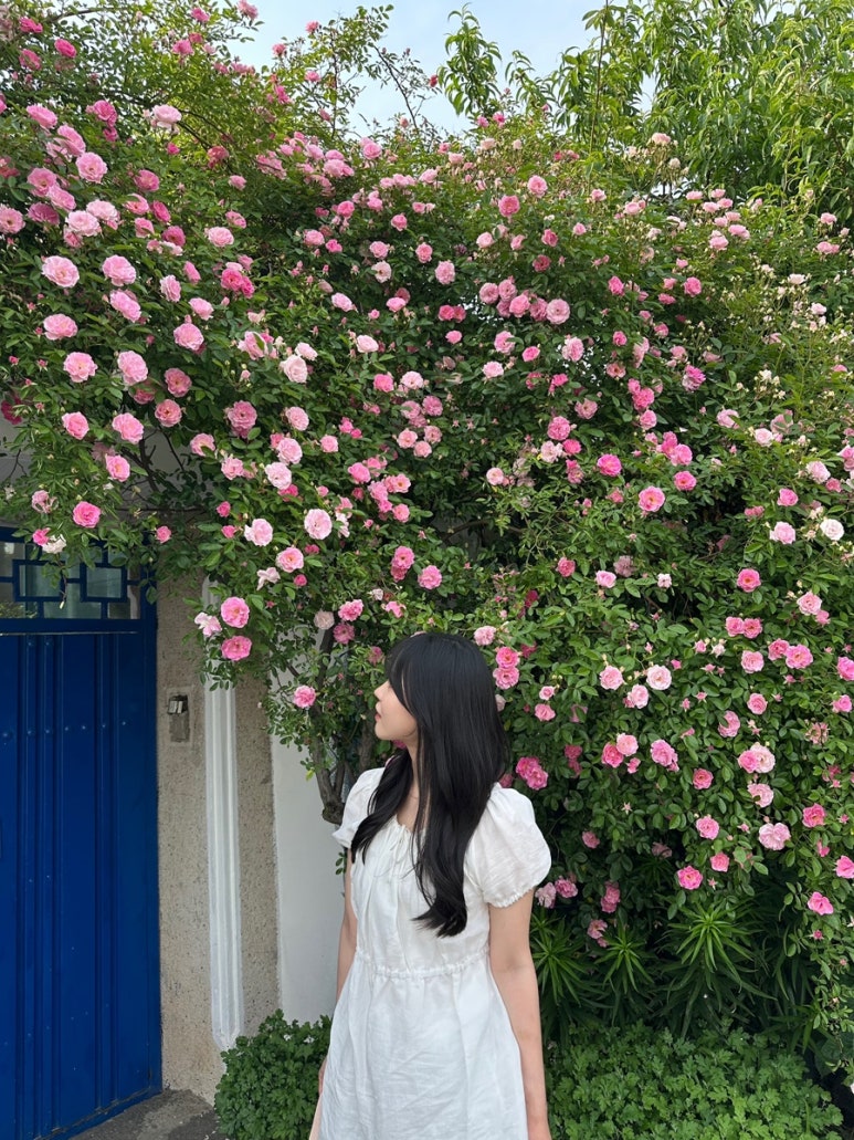 용호나드리 이미지
