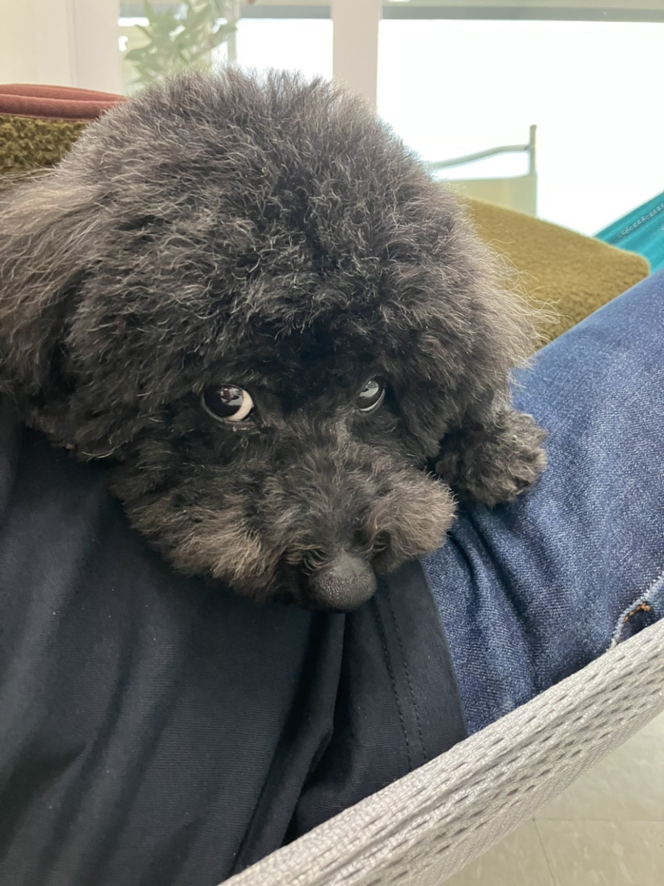 바탕이엔씨 이미지