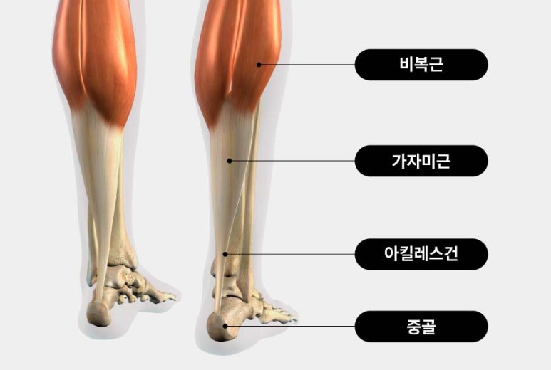 세종스포츠정형외과의원 이미지