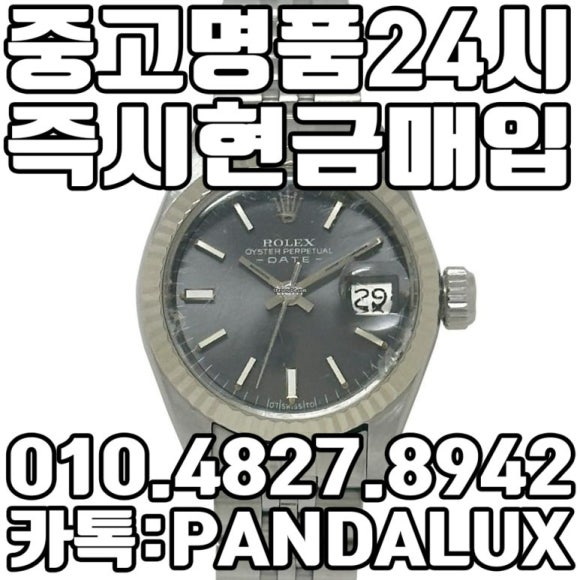 명품판다 이미지