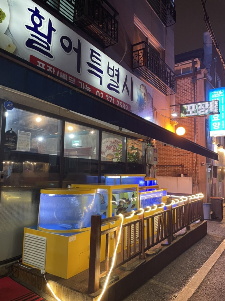 활어특별시 이미지