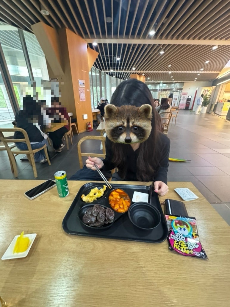 츄츄바앤츄밥 이미지