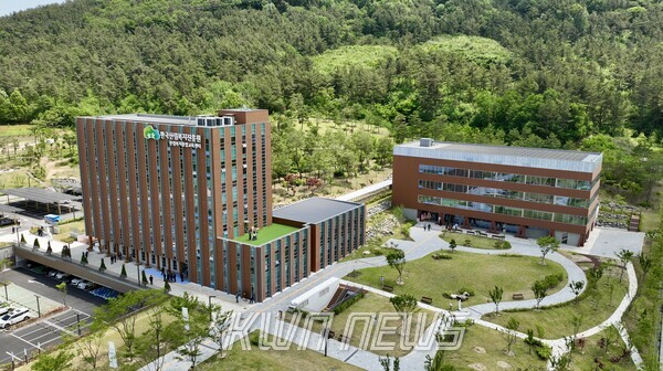 국산종합가스 이미지