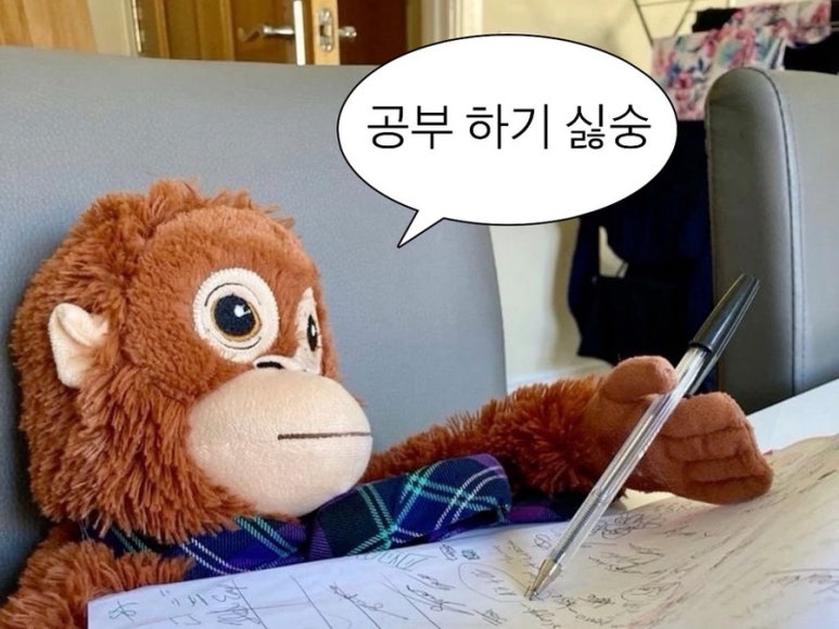 딩굴댕굴 이미지