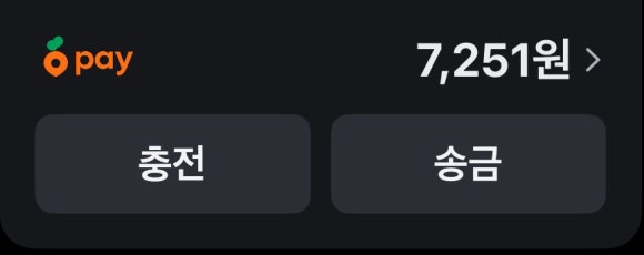 당플 이미지