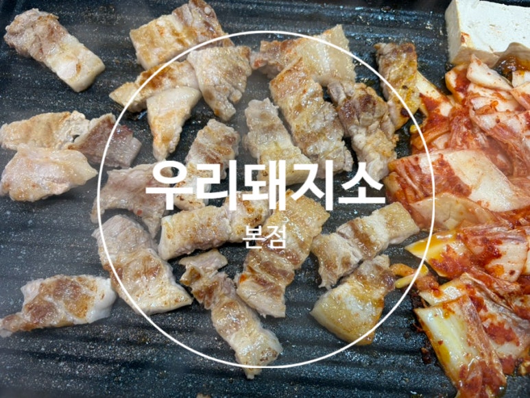 우리돼지소 이미지