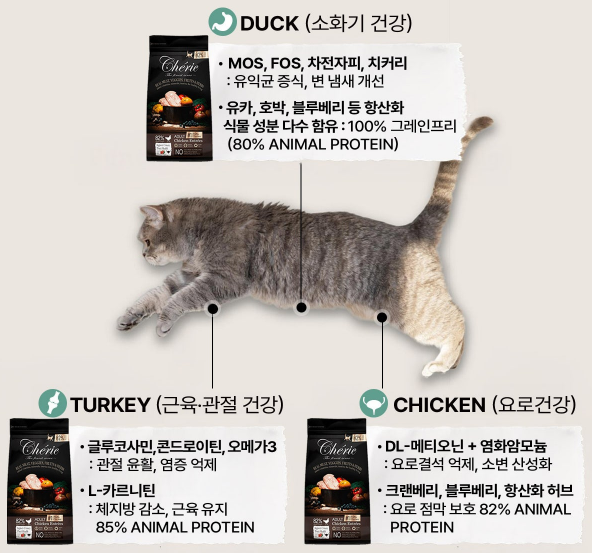 오리케어 이미지