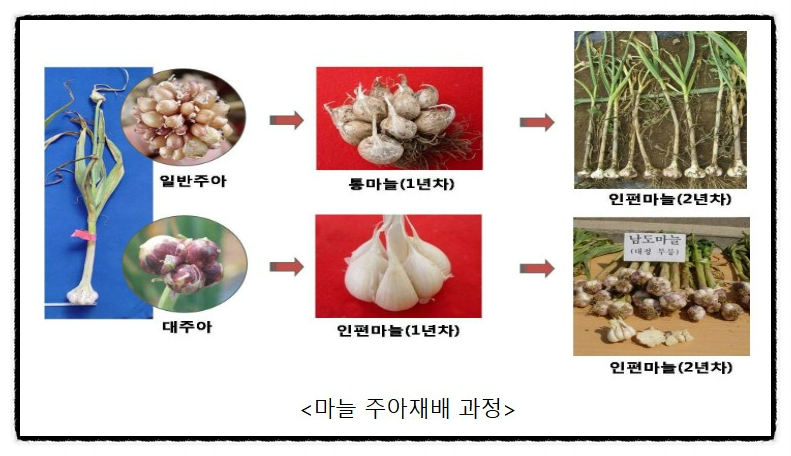 주아식품 이미지
