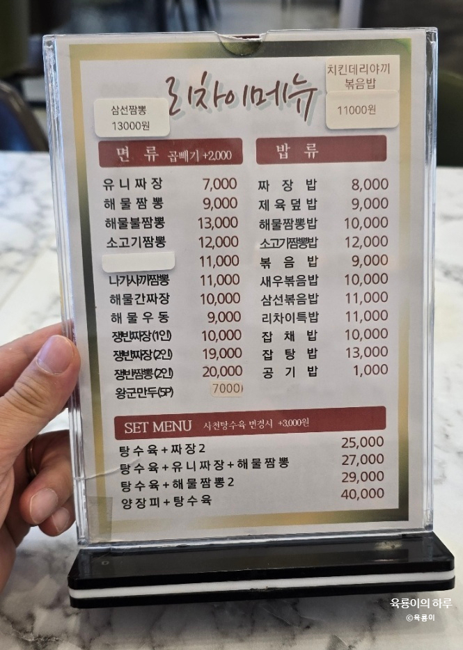 리차이 이미지