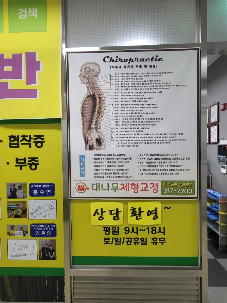 대나무체형교정 이미지