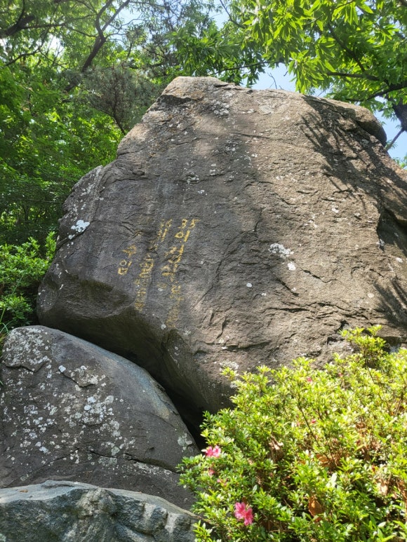 선달바우 이미지