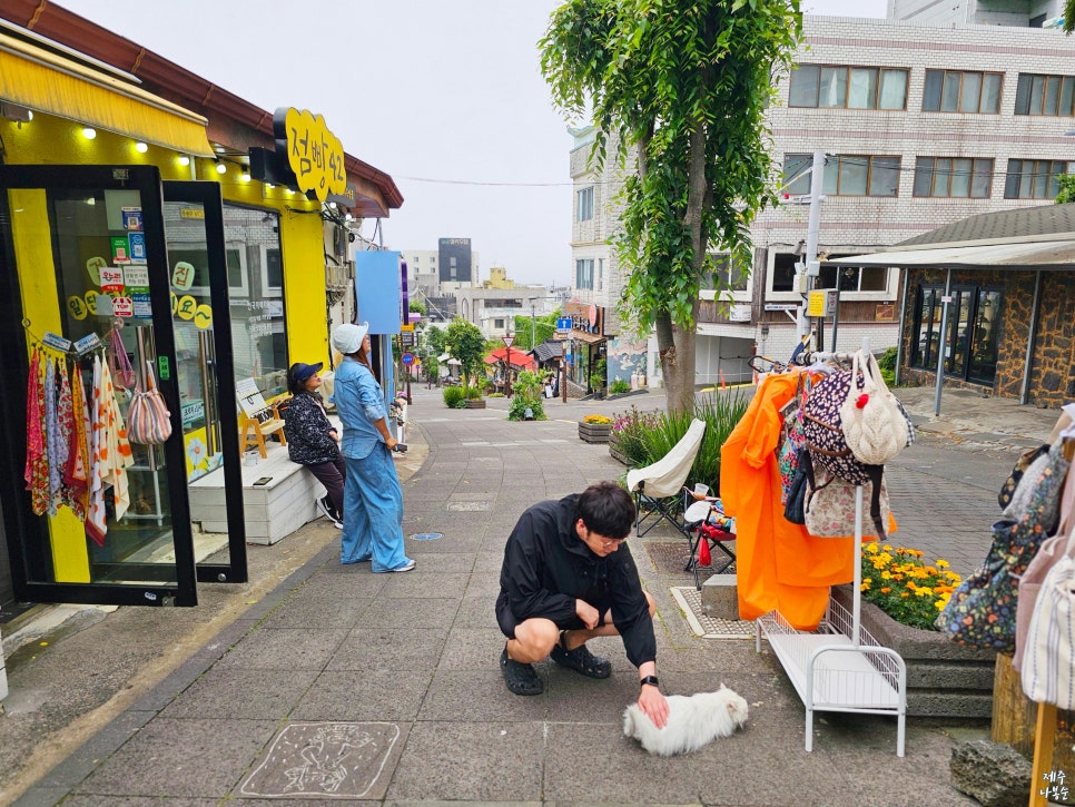 점빵42 이미지