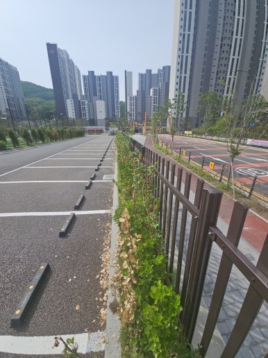 미소휀스 이미지