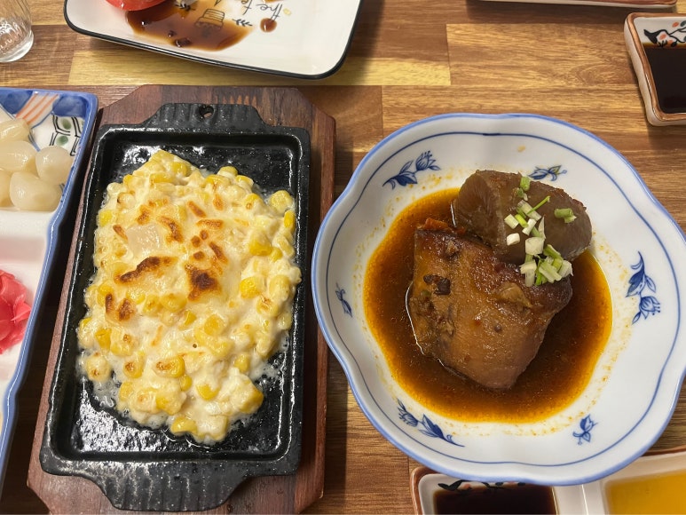 대선참치 이미지