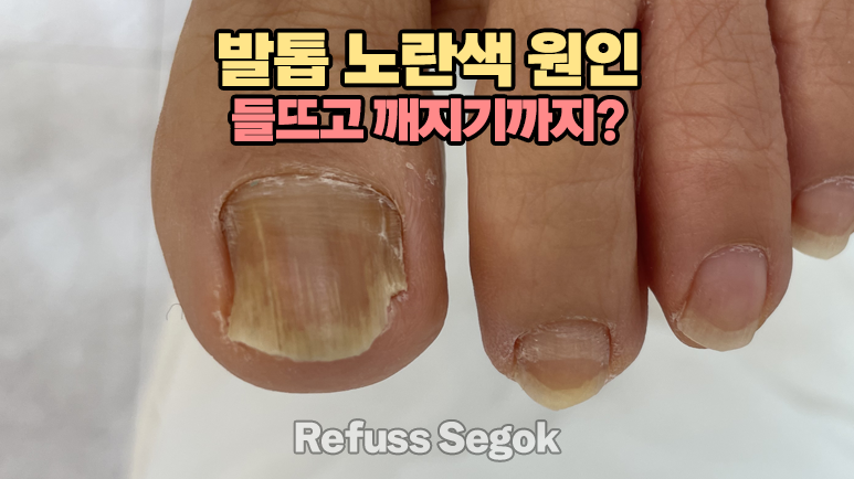 레푸스강남세곡점 이미지