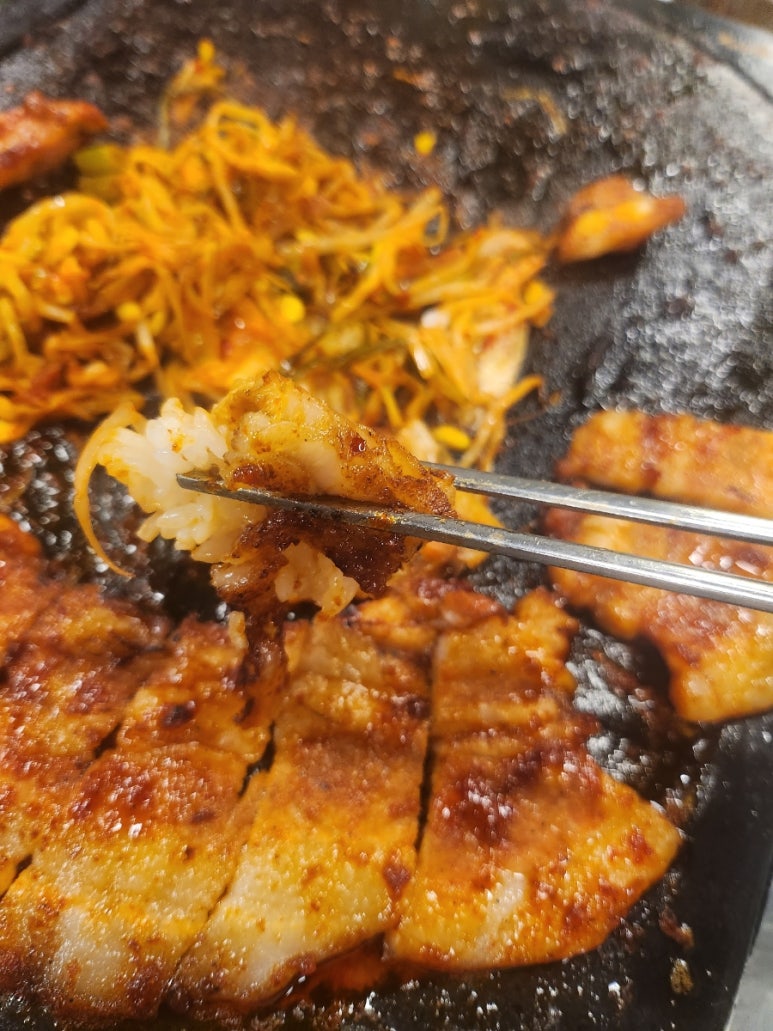 불도야지 이미지