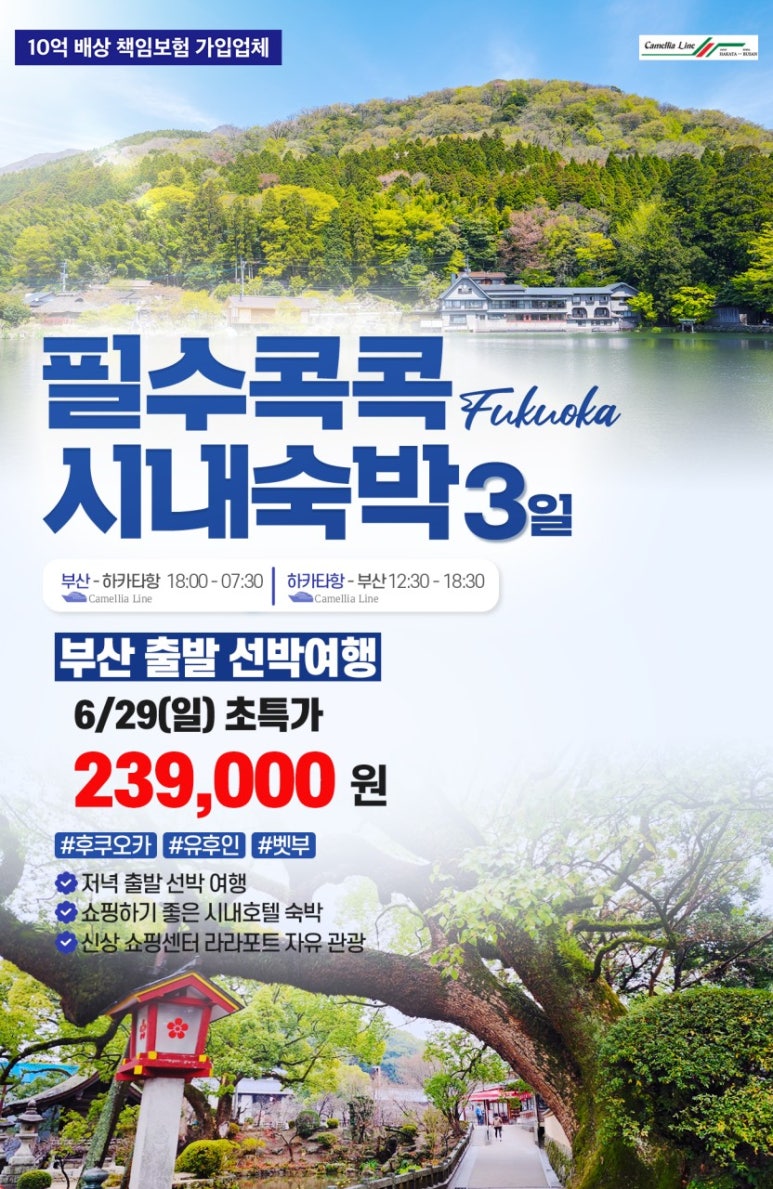 강대표투어 이미지
