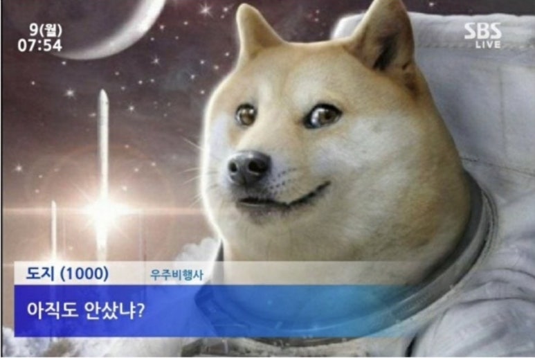 코인 이미지
