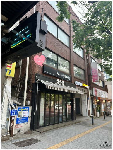 루시디안 이미지