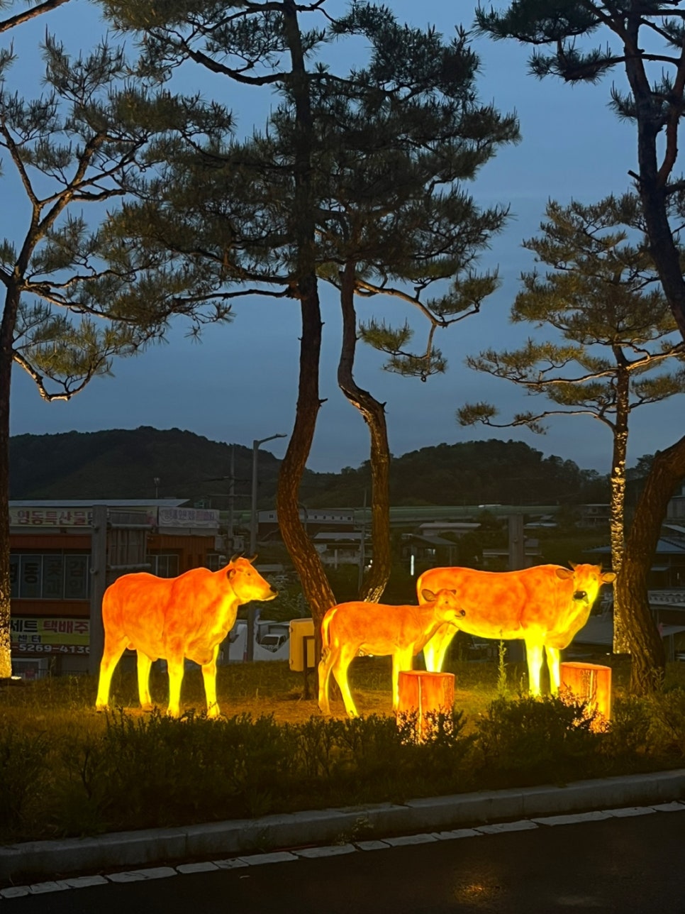 서울로또방 이미지