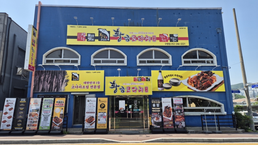 황금코다리 구영점 이미지