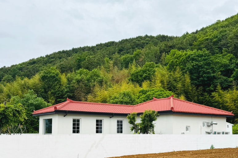 수나로이 이미지