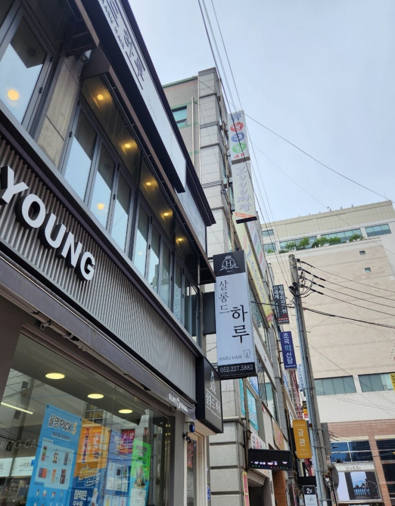 써나헤어 이미지