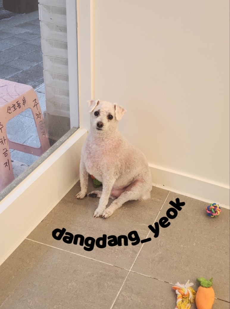 보리미용실 이미지