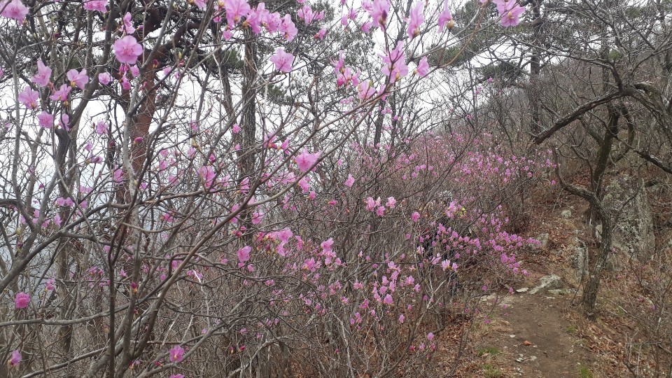 선화상사 이미지