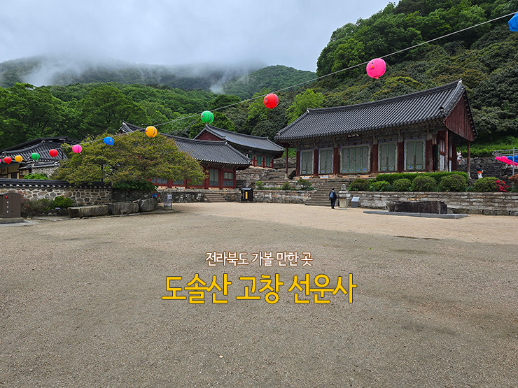 전라북도 가볼 만한 곳 봄비 속 도솔산 고창 선운사 : 네이버 블로그
