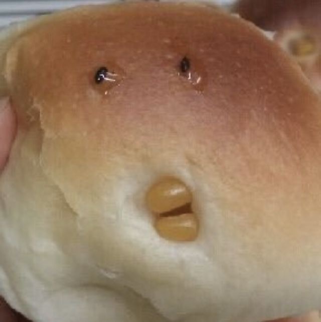 공육사 이미지
