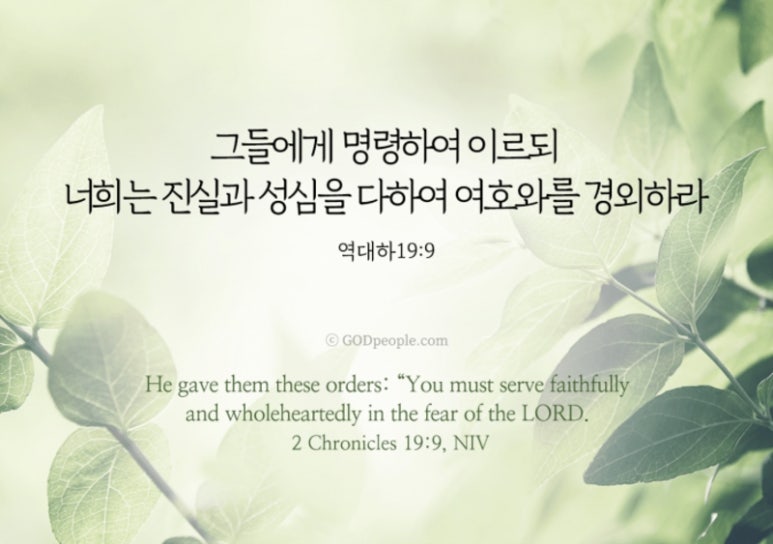 송사진실 이미지