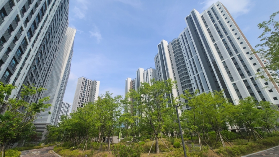 써밋행정사사무소 이미지