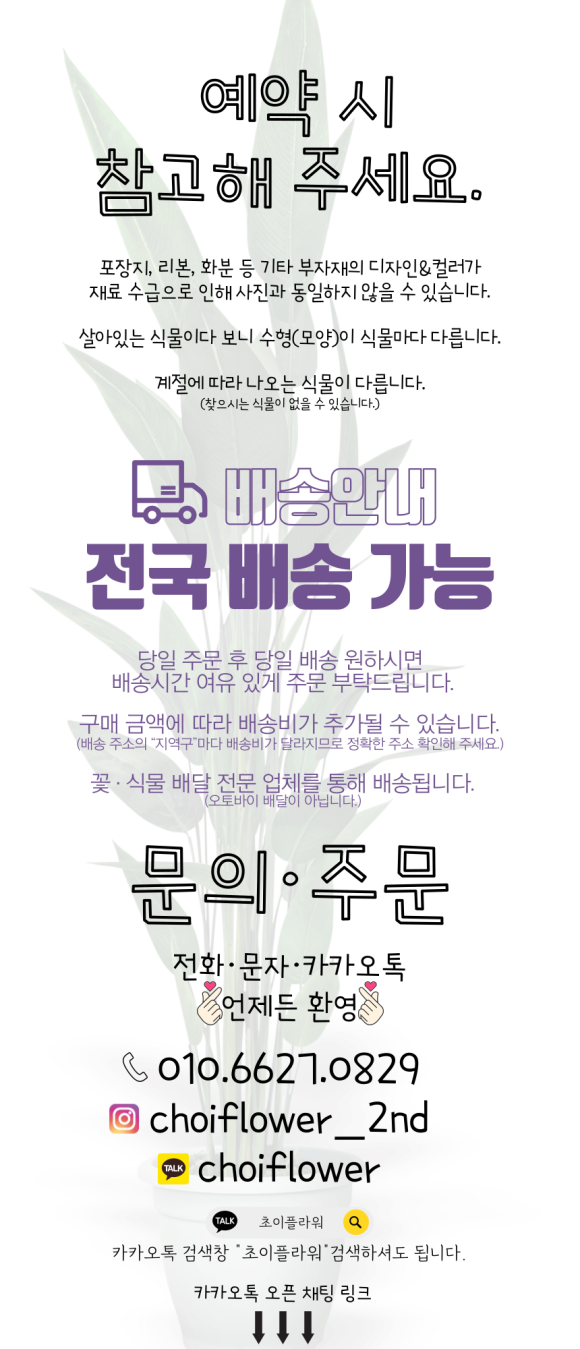 초이플라워 이미지