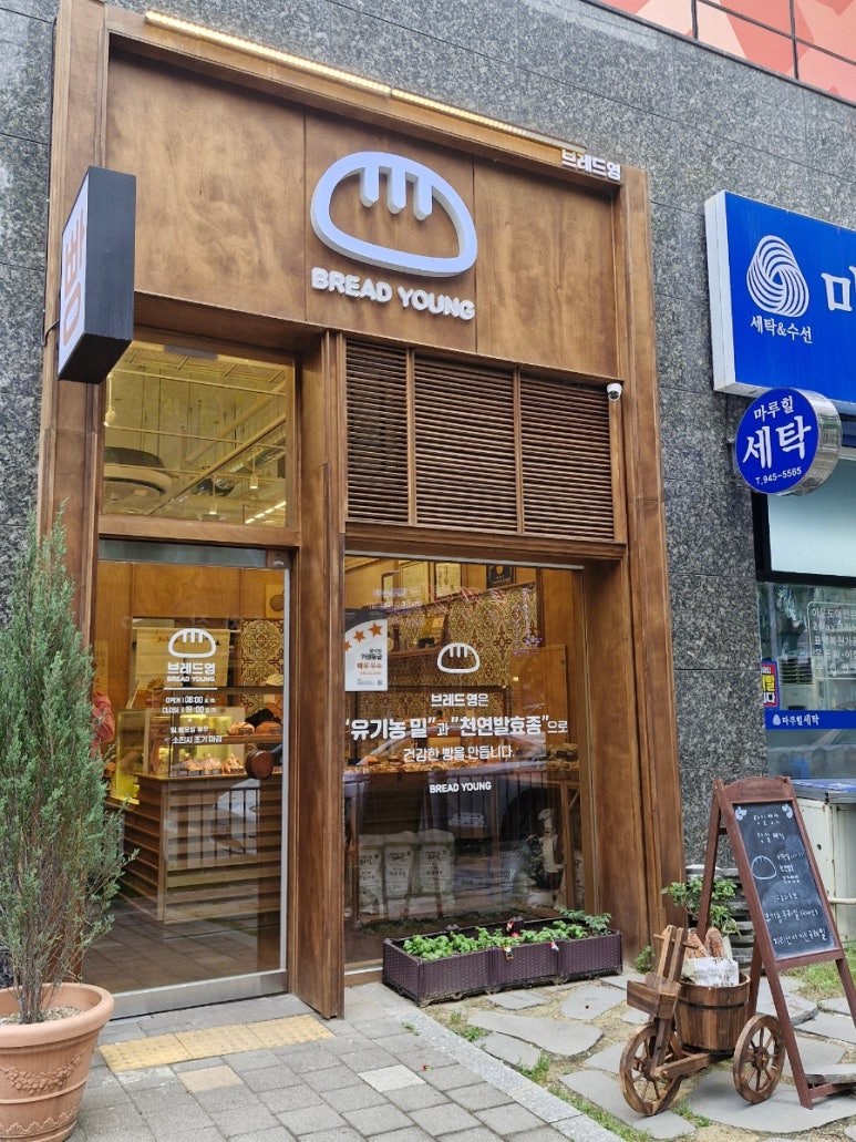 브레드영 이미지