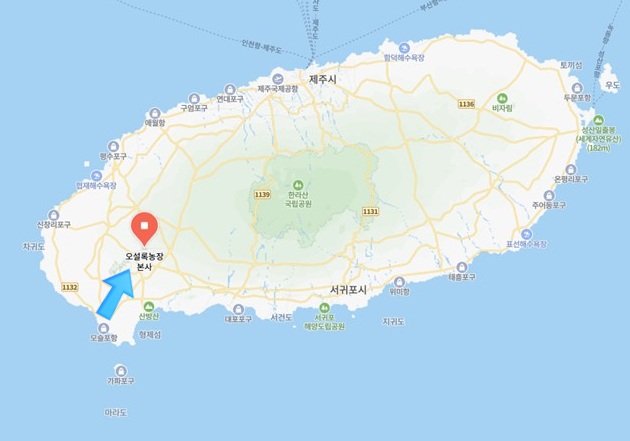 주식회사 오설록 이미지