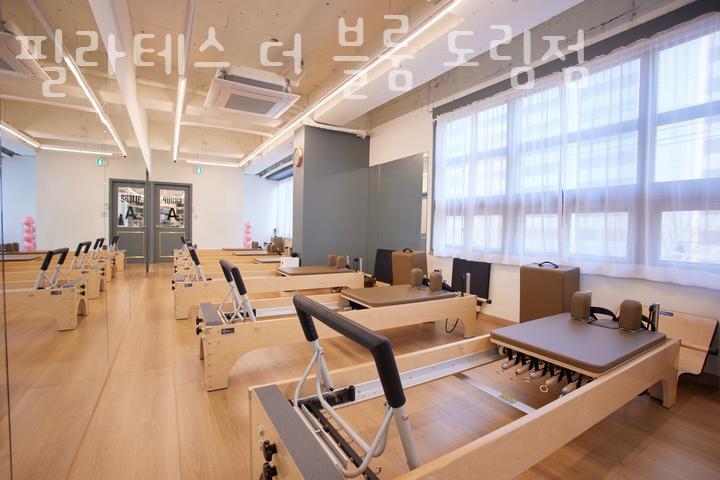 더 블룸 이미지