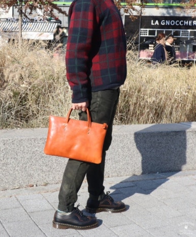 루시디안 이미지