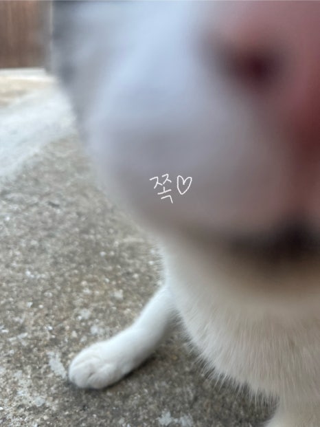(유)주진 이미지