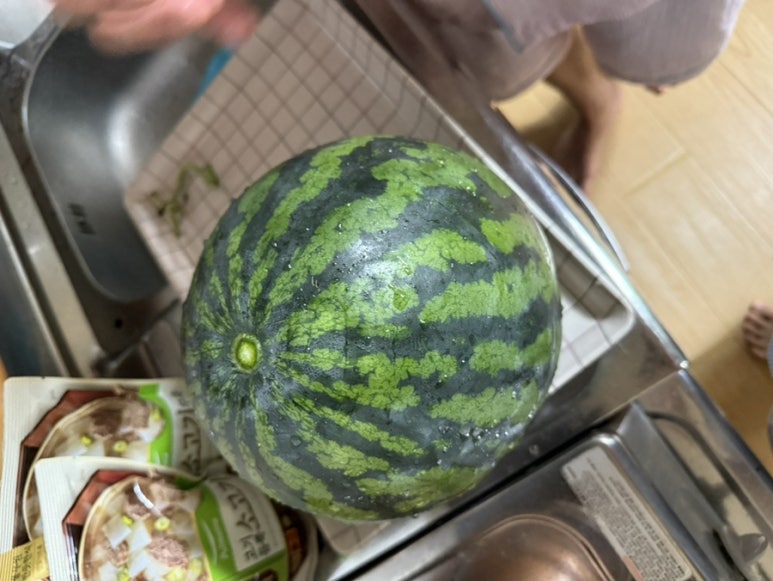 프레델 이미지