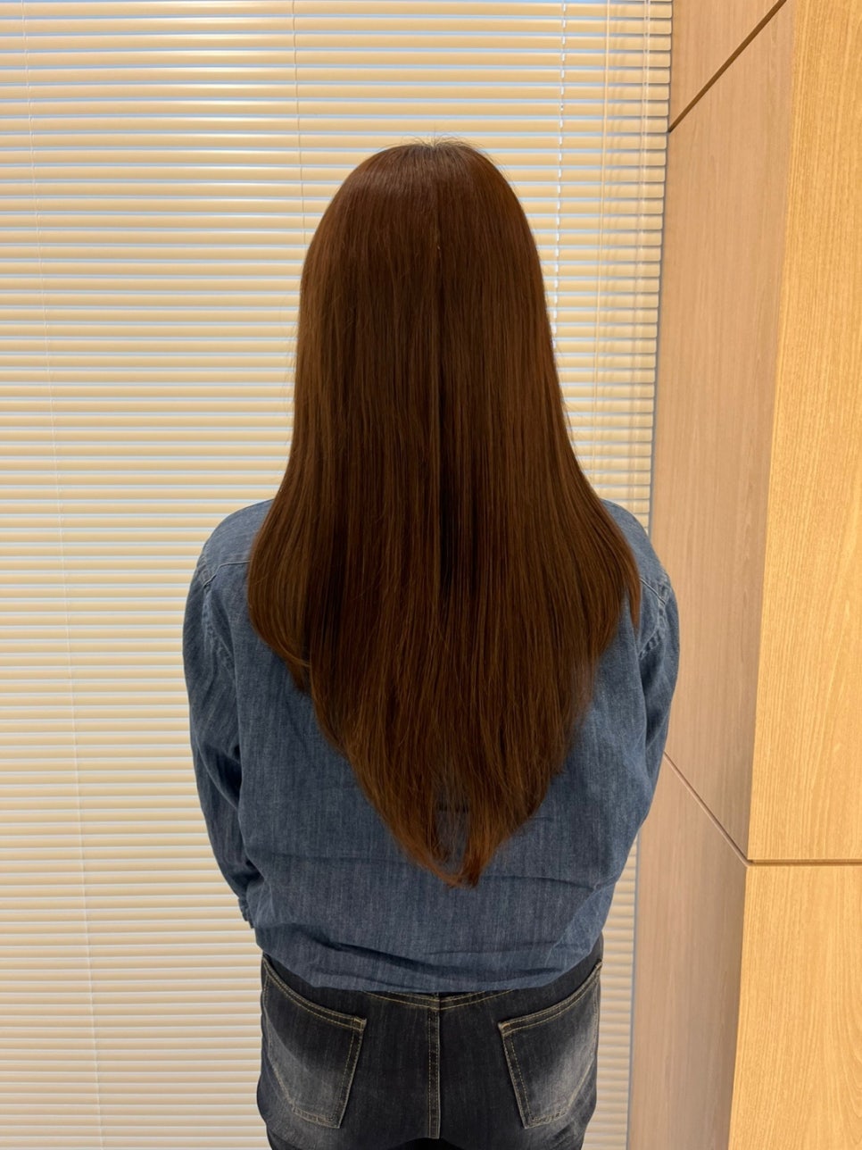 완도스타일 이미지
