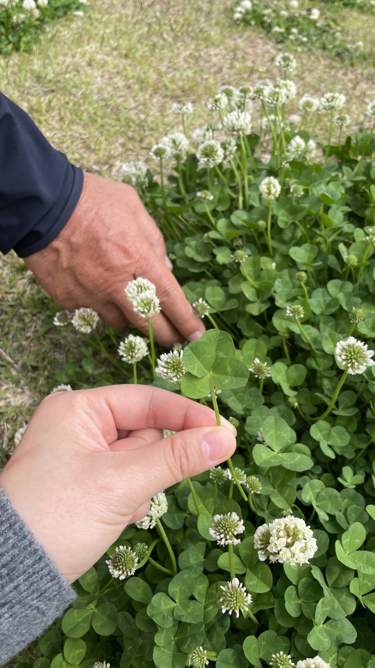 (주)네잎 이미지
