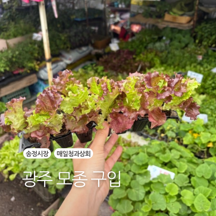 청과상회 이미지