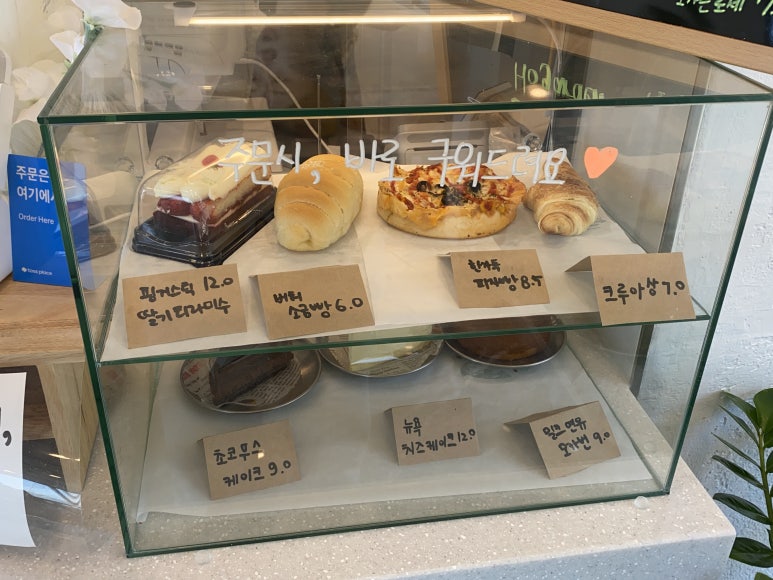 오아시스코브 이미지