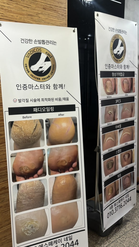 노블에스떼 이미지