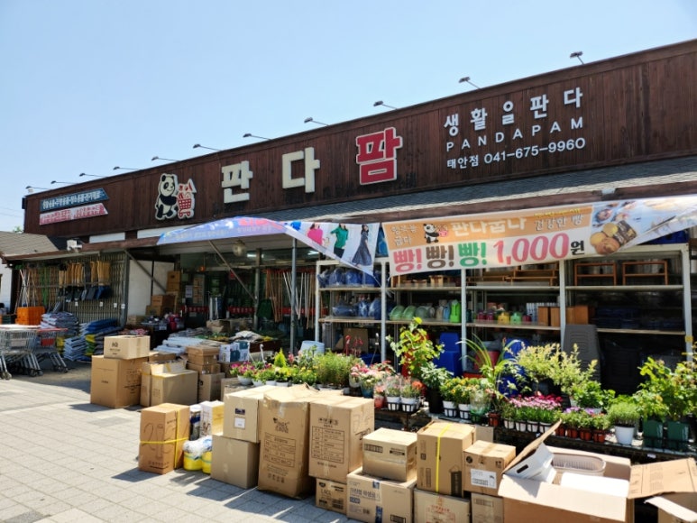 판다팜 이미지