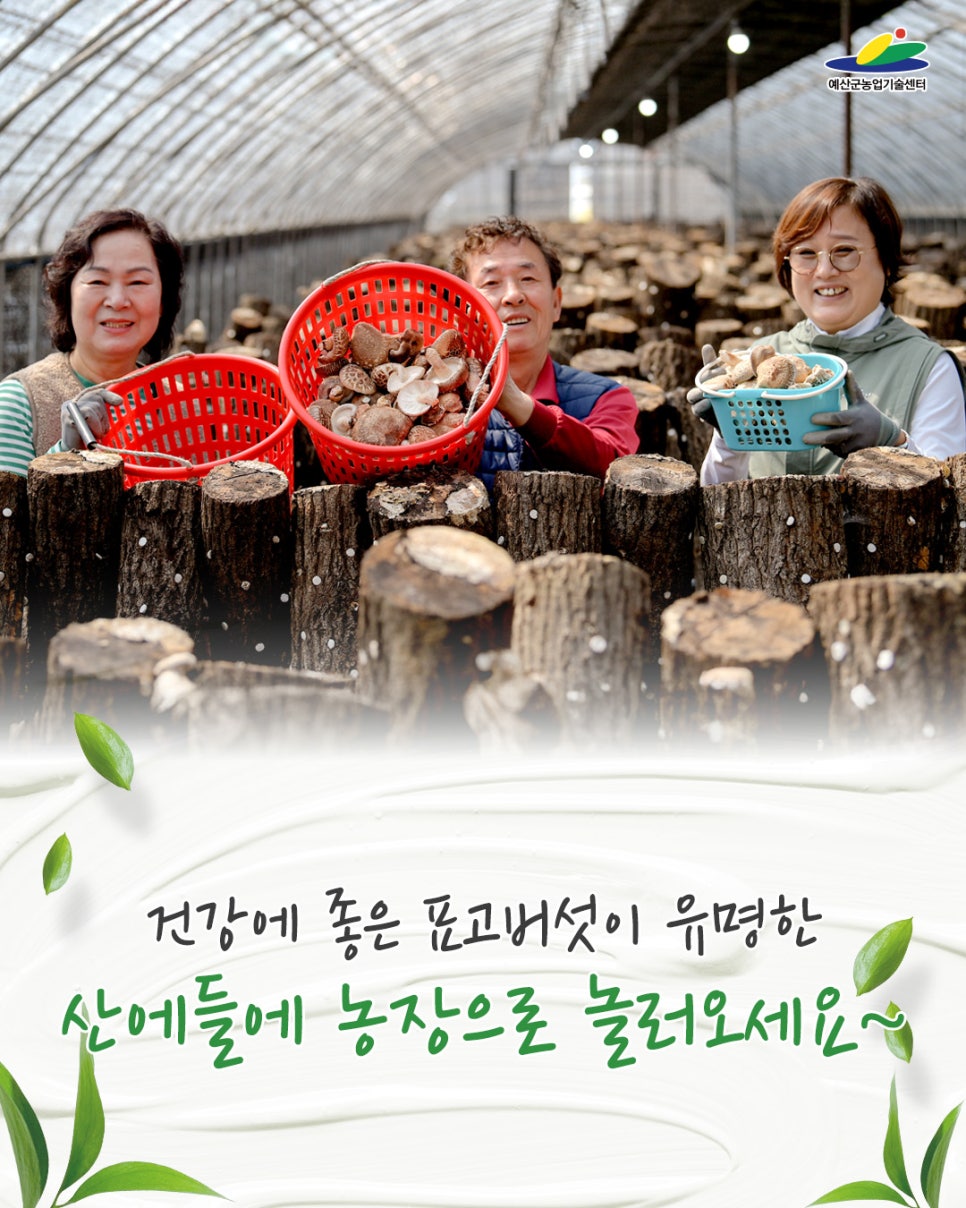 산에들에농장 이미지