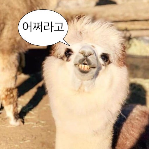 복이식당 이미지