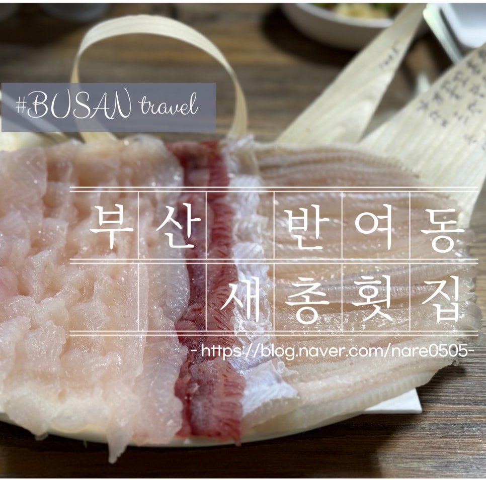 새총횟집 이미지